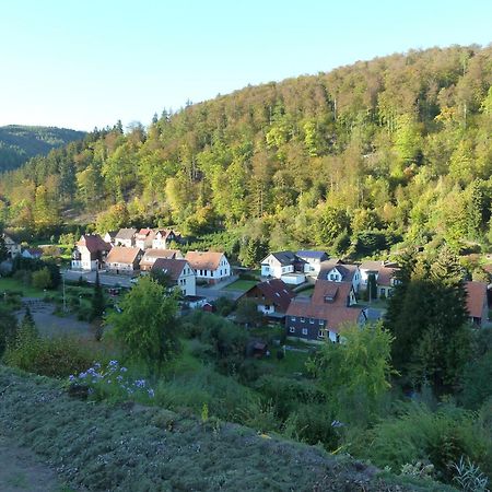 Ferienwohnung Gerken Wieda Exteriör bild
