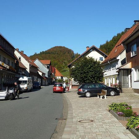 Ferienwohnung Gerken Wieda Exteriör bild